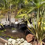 Hotel El Nido De Pinares