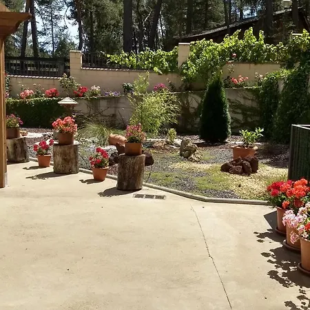 Hotel Rural El Nido De Pinares Navaleno