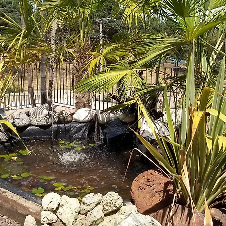 Hotel Rural El Nido De Pinares