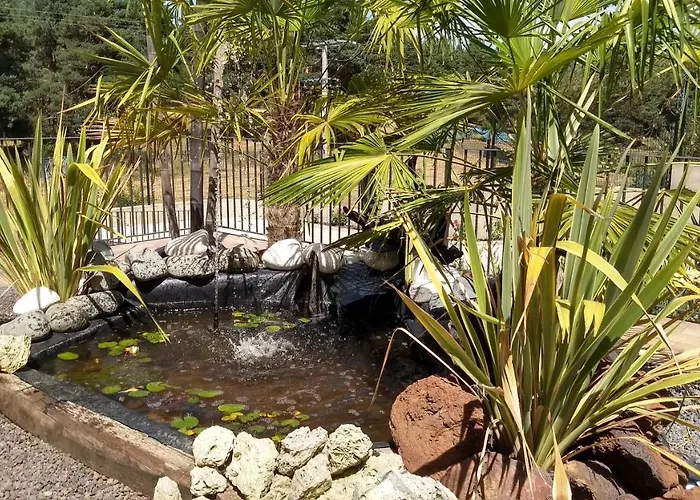 Hotel El Nido De Pinares Navaleno