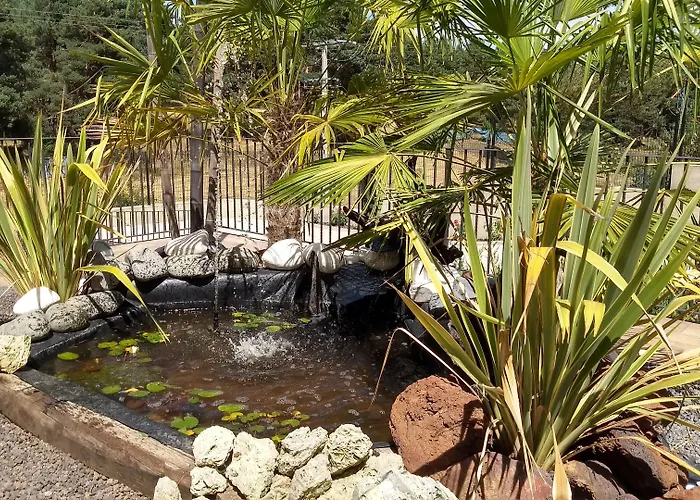 Hotel El Nido De Pinares